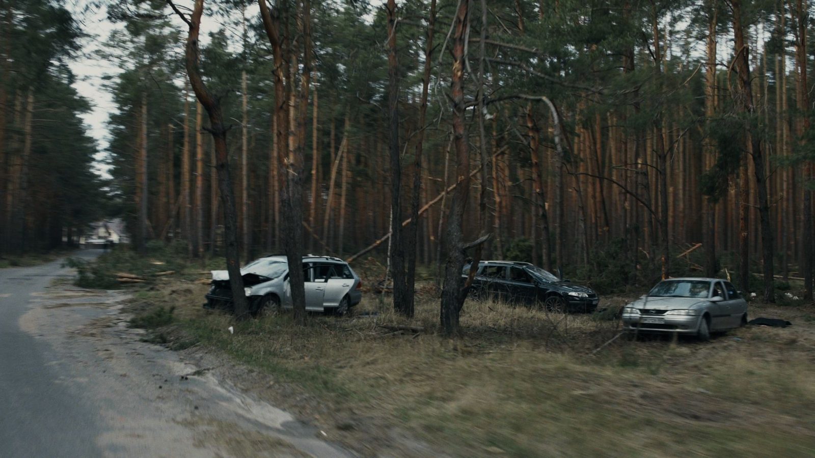 Damaged vehicles resting among trees beside a road after a crash