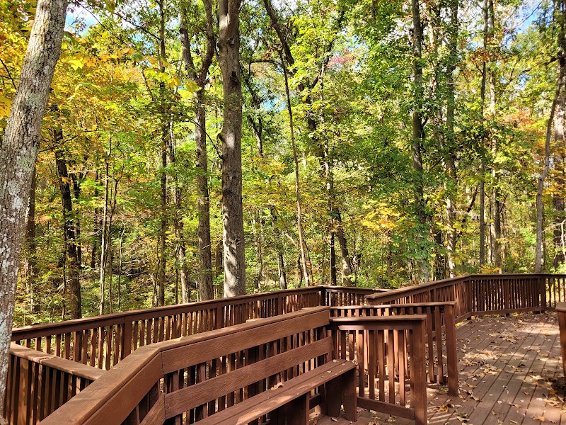 Personal Injury in Forest Park, GA